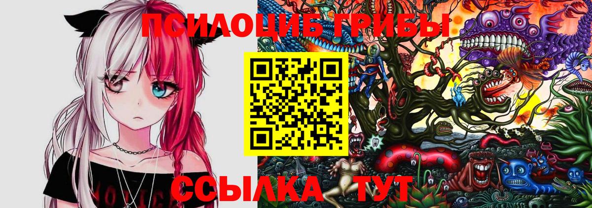 Галлюциногенные грибы GOLDEN TEACHER  Вход с VPN  Мценск  Псилоцибиновые грибы Magic Shrooms 